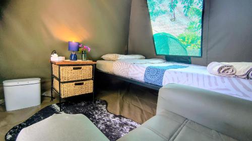 two beds in a room with a chair and a table at Bavarian Maun Apartments in Maun
