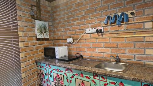 a kitchen counter with a microwave and a sink at Bavarian Maun Apartments in Maun