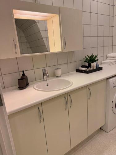 a bathroom counter with a sink and a mirror at Lille Vedelsborg in Vejle