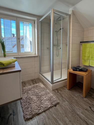 a bathroom with a shower and a rug at Gästehaus Schneider in Eppishausen