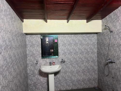a bathroom with a sink and a shower at Carambola Resort in Negombo