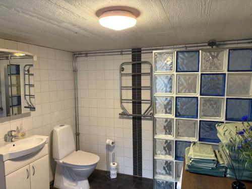 a bathroom with a toilet and a sink at Blomstergården in Vilshult