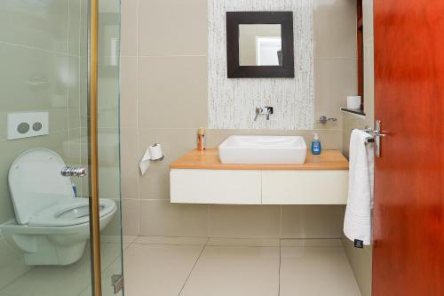 a bathroom with a toilet and a sink and a mirror at African Oasis Cameroon in Somerset West