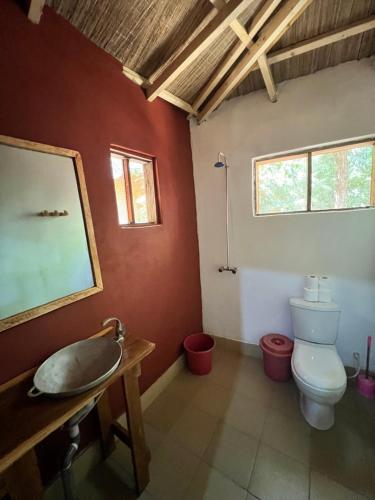a bathroom with a toilet and a sink at Nemasu Eco-lodge in Gunjur