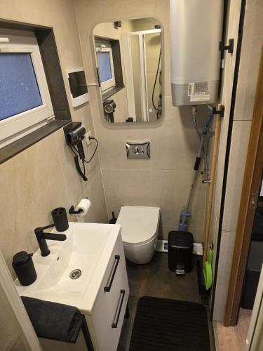 a small bathroom with a sink and a toilet at Tīkli 3 in Bigauņciems