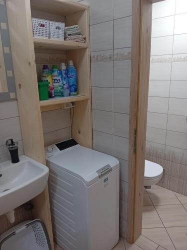 a small bathroom with a sink and a washing machine at Apartments Čumar in Cerkno