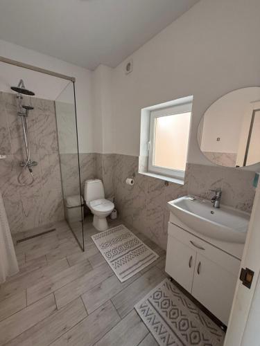 ein Badezimmer mit Toilette, Waschbecken und Dusche in der Unterkunft Levodr in Weljatyn