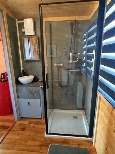 a shower with a glass door in a bathroom at Rials in Aleyrac