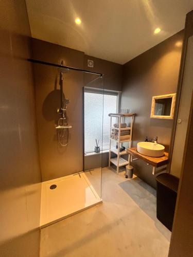 a bathroom with a glass shower and a sink at Bonte Specht in Otterlo