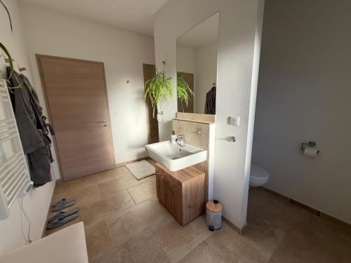 a bathroom with a sink and a mirror at Entre sabots et ronrons in Butten