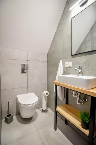 a bathroom with a white toilet and a sink at Rusiński Raj - Domki in Bukowina Tatrzańska