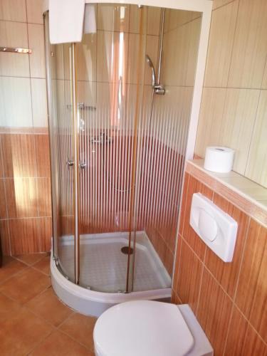 a bathroom with a shower and a toilet at Batthyány Villapark in Zalacsány