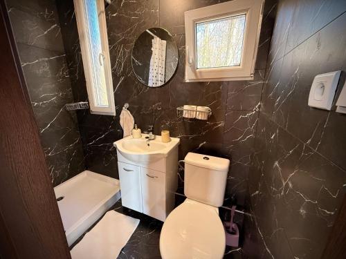 a bathroom with a toilet and a sink and a mirror at Tiny house v Moravském Berouně in Moravský Beroun