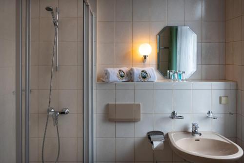 a bathroom with a shower and a sink and a mirror at Der Bayerische Hof in Grünbach