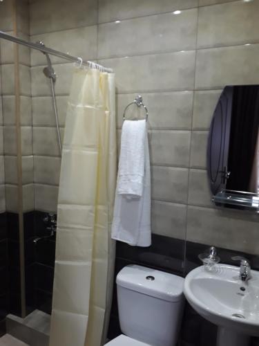 a bathroom with a toilet and a sink at Villa Bakuriani hotel in Bakuriani