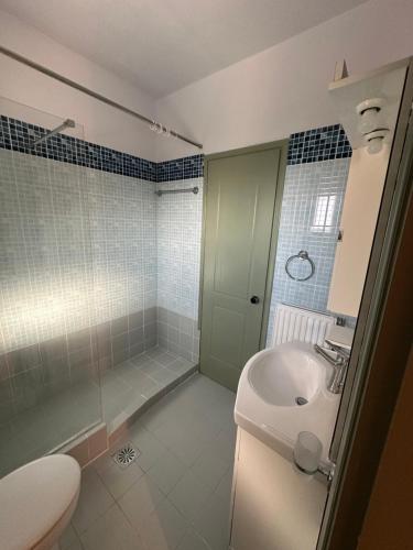a bathroom with a shower and a toilet and a sink at Watermill Villa in Svoronata