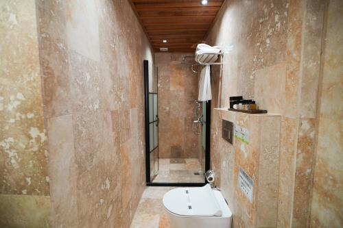 a bathroom with a toilet and a shower at Urgup Konak Hotel in Ürgüp