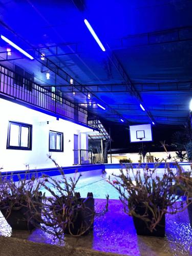 a swimming pool with blue lights in a building at Resort safari hot spring in Calamba
