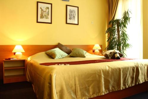 sypialnia z dużym łóżkiem z 2 lampami w obiekcie Hotel Pula w Puli