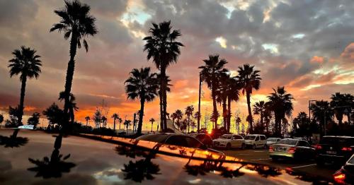 Beachfront Central Apartments