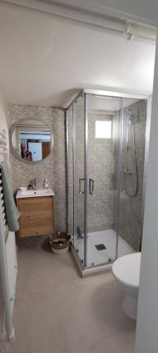 a bathroom with a shower and a sink at Chez Marianne in Hotton