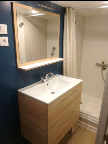 a bathroom with a sink and a mirror and a shower at Village du Manémeur in Quiberon
