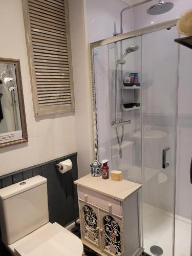 a bathroom with a toilet and a glass shower at The Bridges B&B in Broomhill