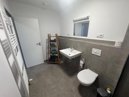a bathroom with a white toilet and a sink at Wohnung bei den Drei Gleichen #S in Wandersleben