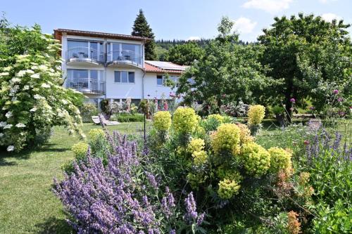 a garden with flowers in front of a house at Am Paradies in Müllheim