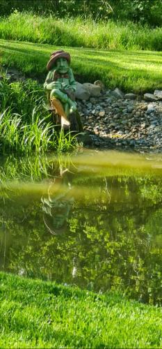 a frog sitting in the water next to a pond at Chaloupky U Matušků in Varnsdorf