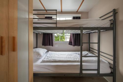 a bedroom with two bunk beds and a window at 42, Cottage - Oisterwijk - Nature in Oisterwijk