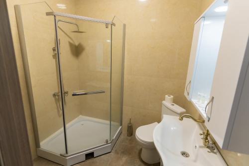 a bathroom with a shower and a toilet at IREPALACE Goderdzi in Goderdzi