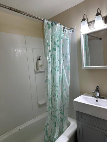 a bathroom with a shower curtain and a sink at Cozy Duplex 2nd floor suite in Winnipeg