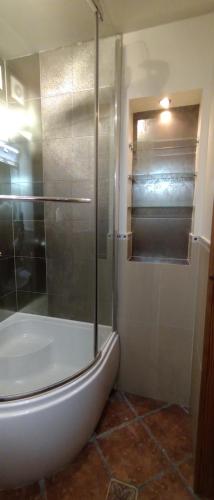 ein Badezimmer mit Dusche mit Glastür in der Unterkunft Schlockenbeck in Milzkalne