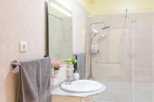 a bathroom with a sink and a shower at Villa Lobos Flat 1 in Câmara de Lobos