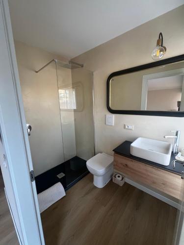 a bathroom with a toilet and a sink and a mirror at Favolosa Suite con Terrazzo in Vicenza