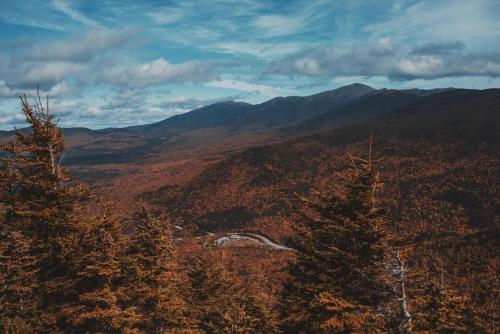 a view of a mountain with trees in the foreground at Highland Center in Bretton Woods
