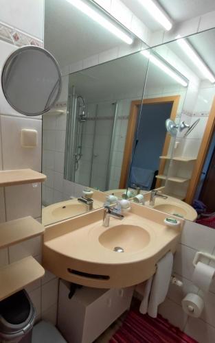 a bathroom with a sink and a mirror at Ferienwohnung Wallner Rosi in Sankt Englmar