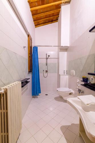 a bathroom with a shower and a sink and a toilet at Agriturismo Gli Archi in Fauglia