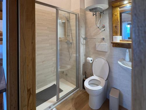 a bathroom with a toilet and a glass shower at Chalet Burrino in Frabosa Soprana