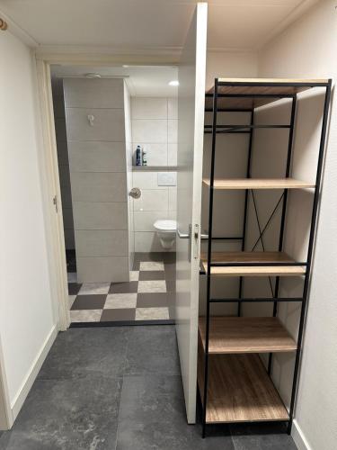 a bathroom with a toilet and a sink at De Schuure 't Voorde in Winterswijk in Winterswijk
