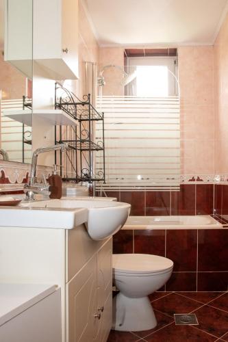 a bathroom with a toilet and a sink and a tub at Little Oasis Apartment in Zgornje Gorje