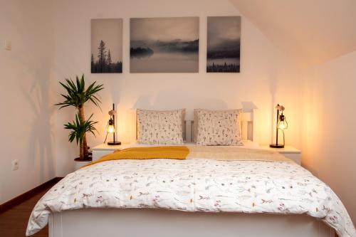 a bedroom with a bed with three pictures on the wall at Little Oasis Apartment in Zgornje Gorje