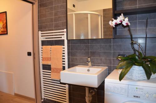 un baño con lavabo y espejo en Le Sorgenti, en Bormio