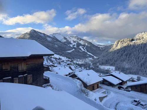 Studio Châtel 4 Pers, Ski, Balcon Sud/Ouest, Parking, Netflix/WIFI, Animaux admis