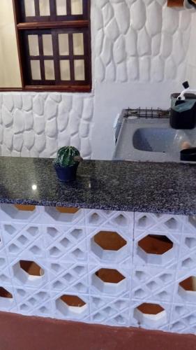 a kitchen counter with a sink and a potted plant at BELL MAR CHALÉs 03 in Luis Correia