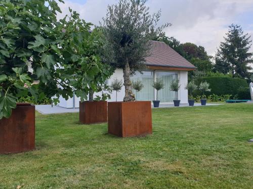 a tree in a field in front of a house at Thibault 1 in Gistel