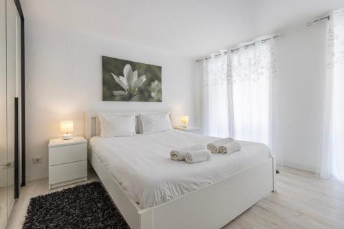 Typical Bica Apartment