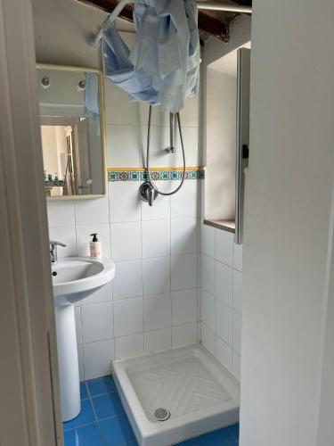 a small bathroom with a sink and a shower at Appartamentino Bianco in Rio Marina