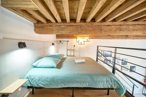 Canut apartment Lyonnais charm in Croix-Rousse